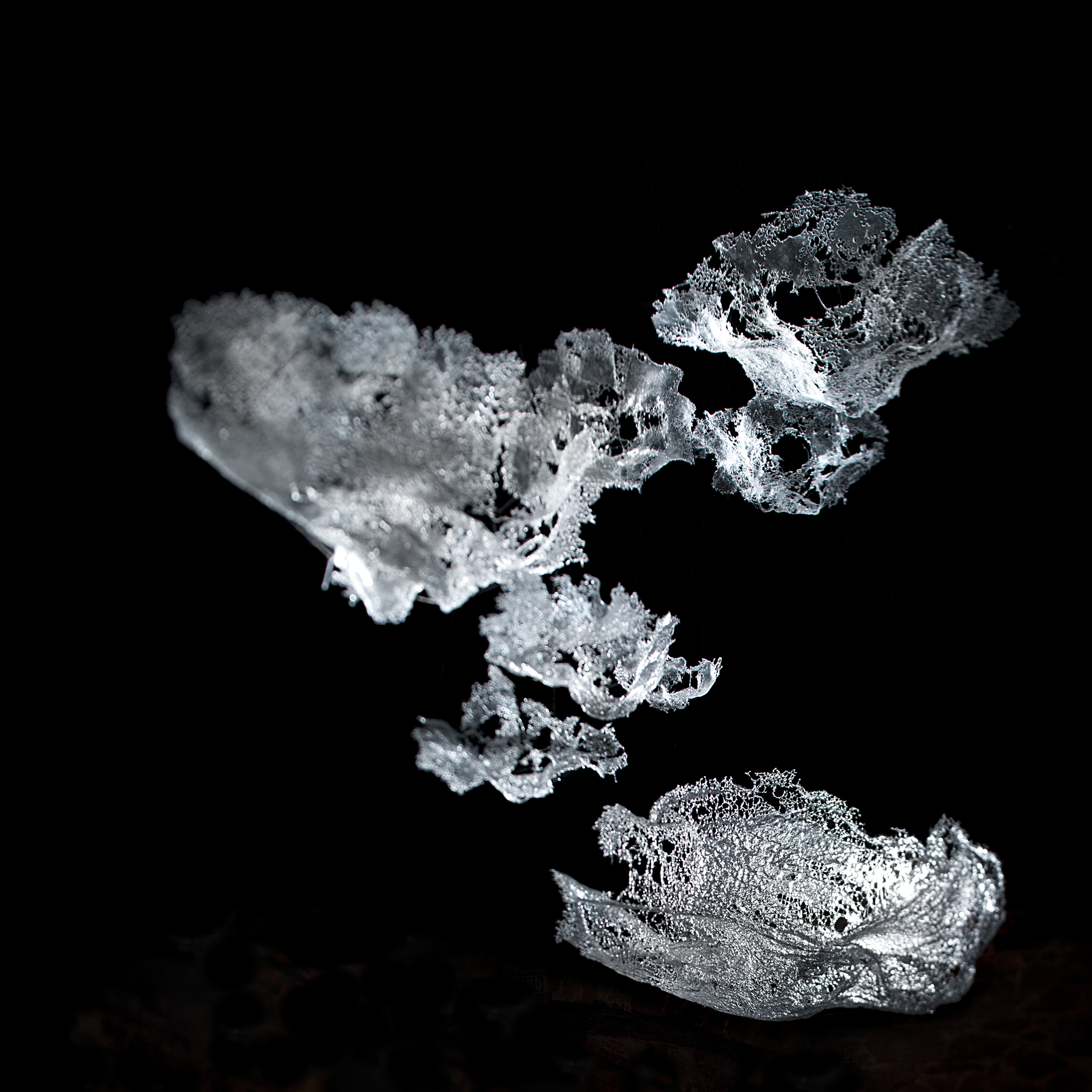 rêverie by Tanja Pak in 2022, in the collection of the Toyama Glass Art Museum